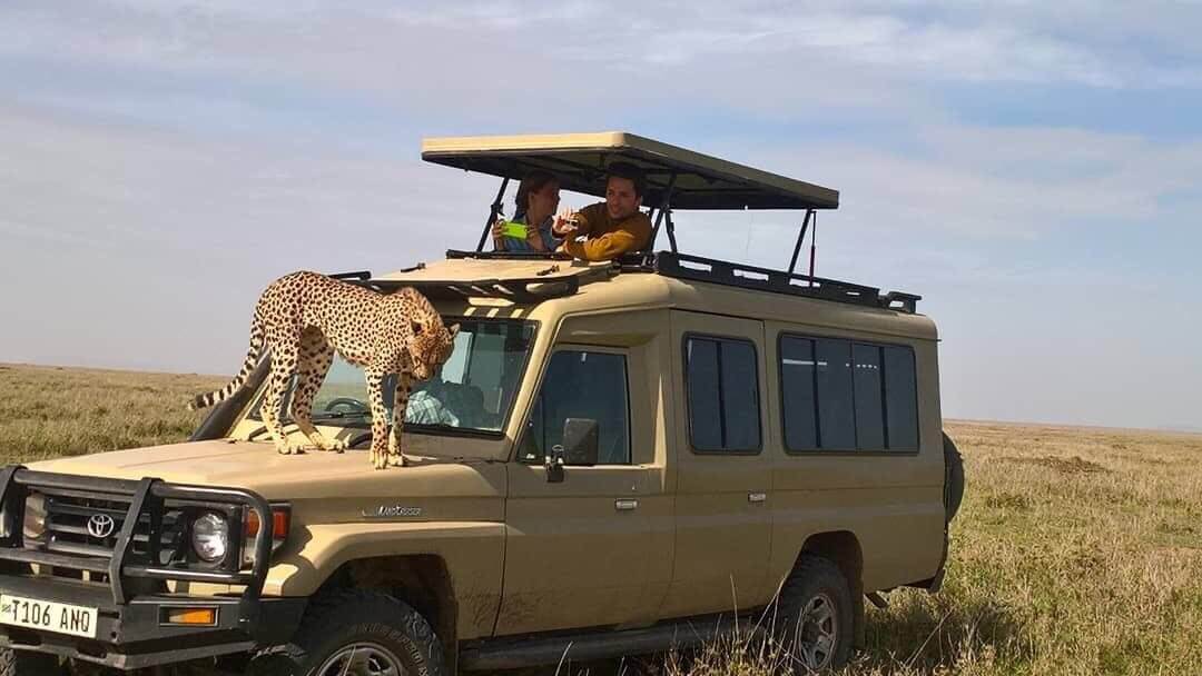 Safari en Tanzania 