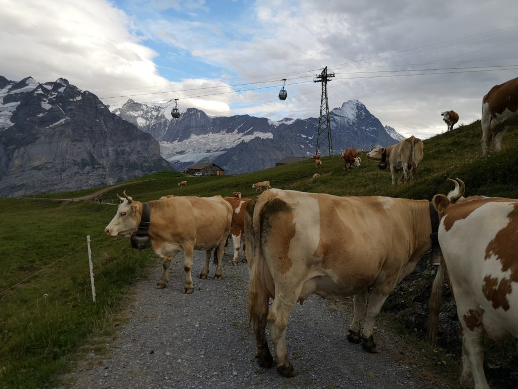 teleferico montañas suiza