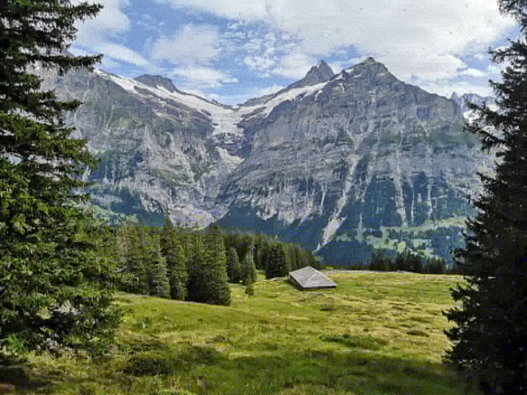 grindelwald suiza 