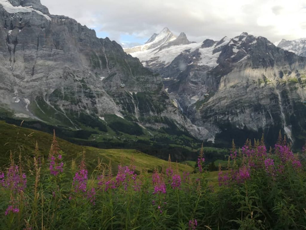 alpes suiza matterhorn